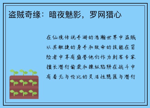 盗贼奇缘：暗夜魅影，罗网猎心